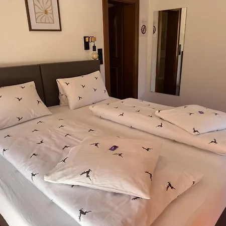 Embacher Gmbh & Co Kg 3* 菲霍芬